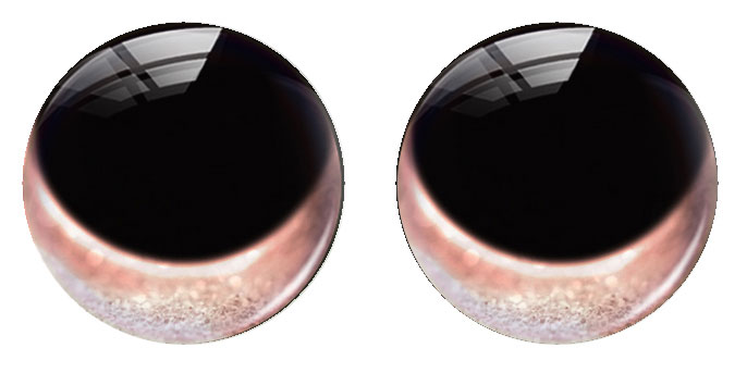 Cabochon en verre rond fait ma - Art Craft Eyes avis et prix